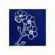 Forget Me Not Single