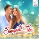 Saugaat Teri Single