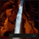 Dryad Single