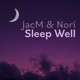 Sleep Well Single