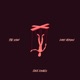 The Show Dark Version Single