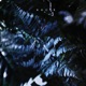 Roots Single