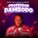Professor Dambodo Single