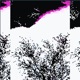 catharsis EP