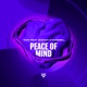 Peace of Mind feat Shawn O Donnell Single