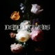Dead Flowers Single
