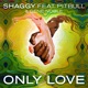 Only Love feat Pitbull Gene Noble Single