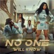 No One Will Know feat ShawtyRP Danitsia Sahadewsing Ras Zukes Single