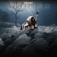 Iqiniso Single