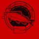 Country Midnite Single