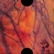 Blank Face LP