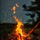 Fireside Ballad Single