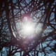 See Things As They Are
