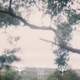 halos feat hamilton Softheart Single