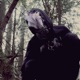 CHAMBER feat Nicolas Quinones Single