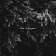 did it for you feat Tyfil Single