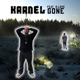 Gone feat D Love Single
