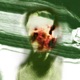 Blur Single