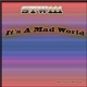 It s a Mad World Single