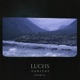Vanitas Remix Single