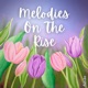Melodies on the Rise Single