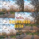 Shepherds Bush Single