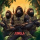 Jungla feat Cpradoo Dj Nozh Single