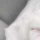 Yume Single
