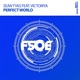 Perfect World feat Victoriya Single