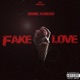 Fake Love feat Dunk Diego Single
