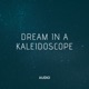 Dream in a Kaleidoscope Single
