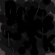 D4RK is left Single