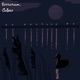 Night Birds Single