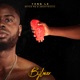 Bijlmer feat Bryan Mg Architrackz Single