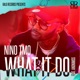 What It Do feat Anonimiss Single
