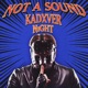 NOT A SOUND Single