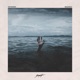 REVENGE Single