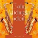 Calm Midnight Cadence Where Jazz and Art Collide