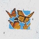 Butterflies feat UNOWAY Single