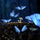 Butterflies Ain t Dreamin Single