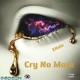 Cry No More Single