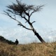 PARANAO feat Dallas Price Single