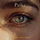 Palke Hindi LOFI Song Single