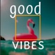 Good Vibes Single