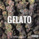 Gelato Single