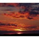 Sunsets Single