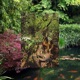 Garden Single