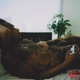 Tired Single