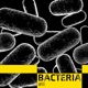 Bacteria feat Adam Lambert Single