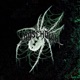 webweaver Single